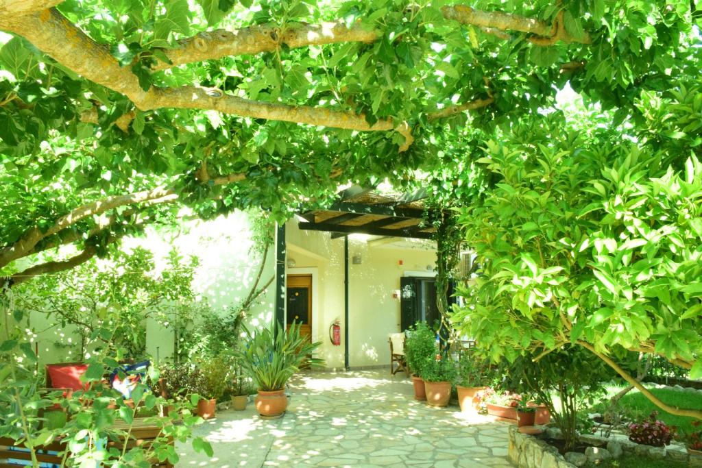 Sparto Village room 2